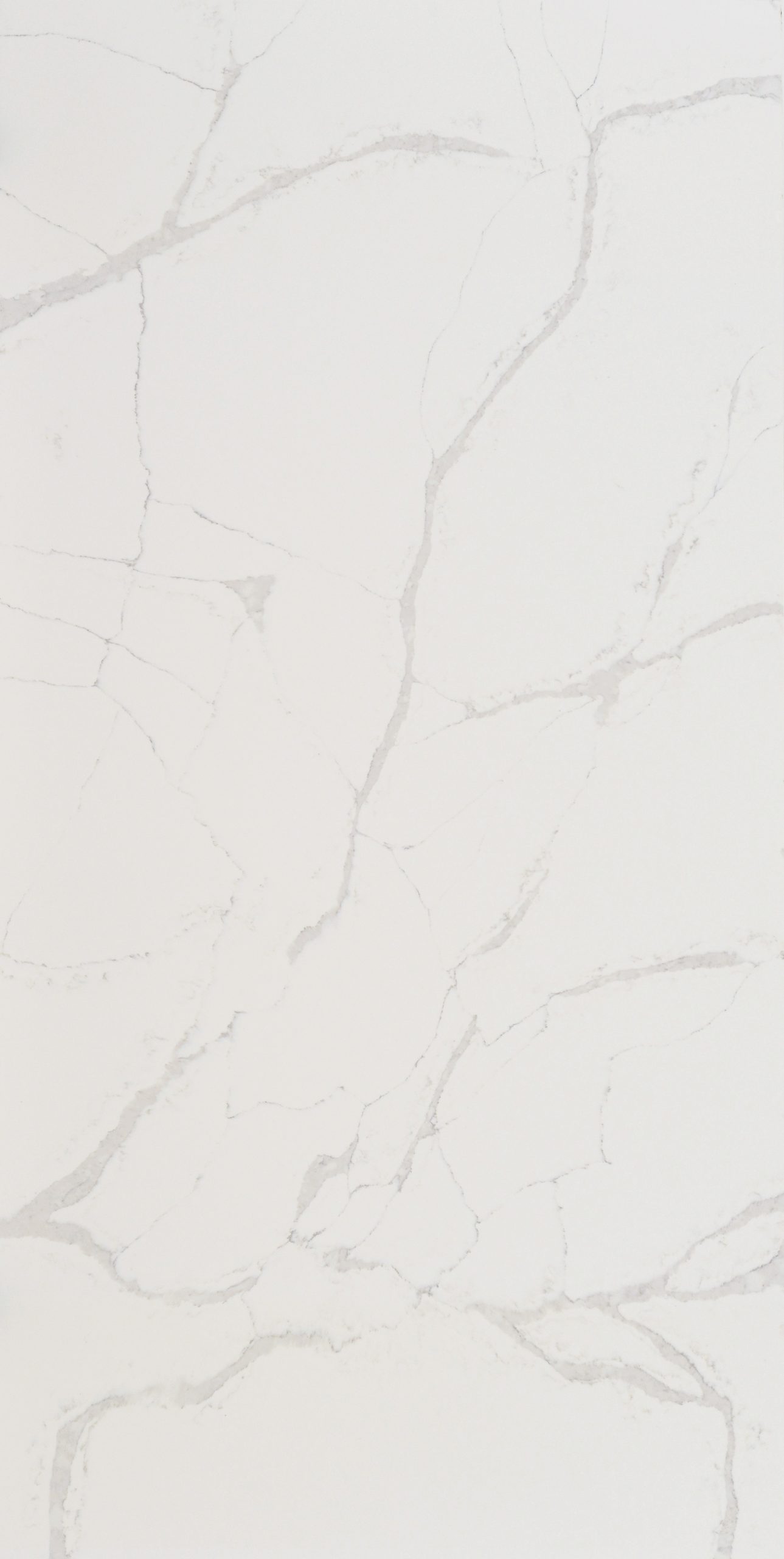 Statuario Venato Leather