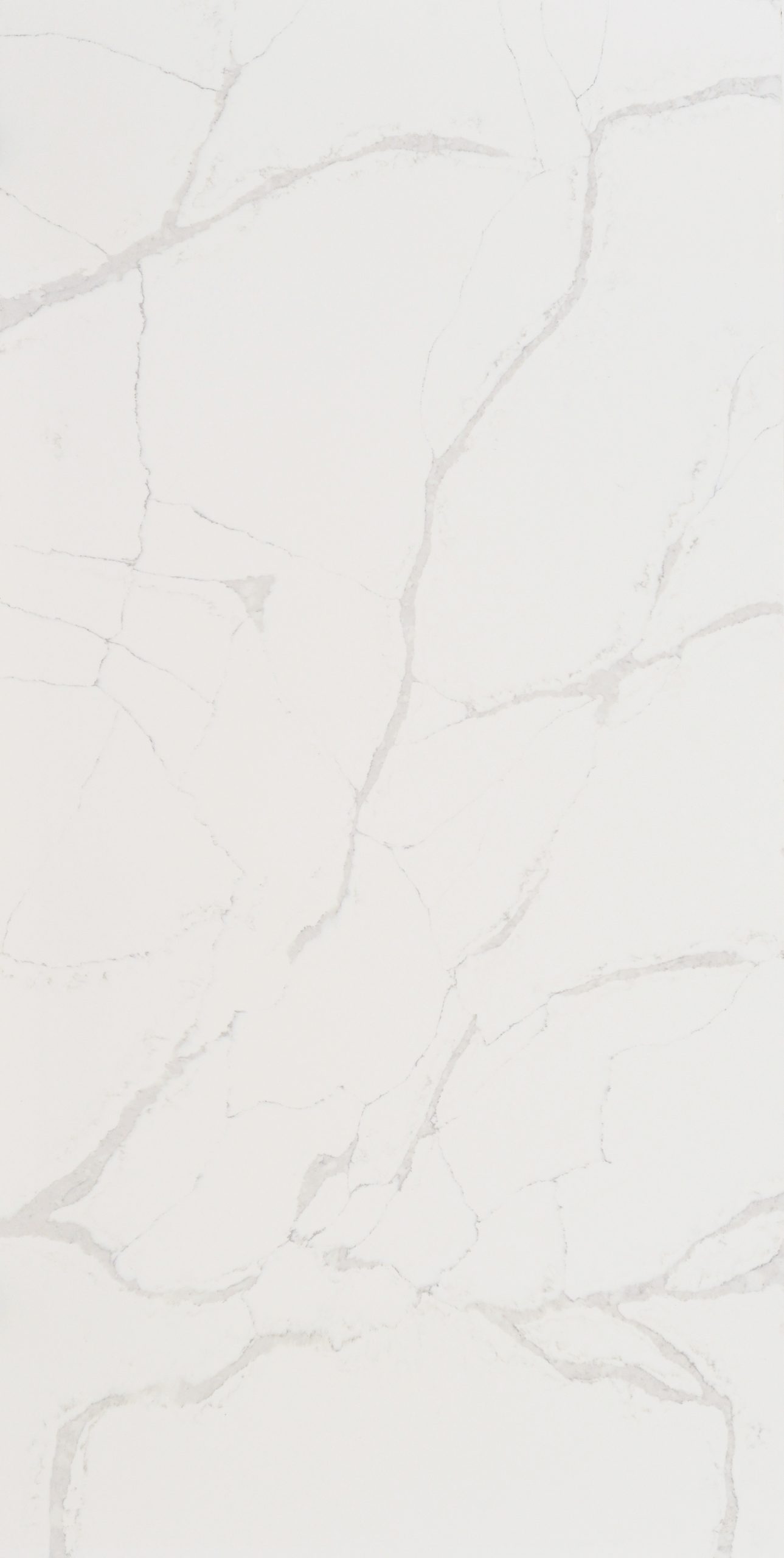 Statuario Venato Polished