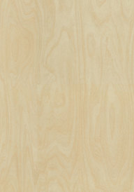 Raw Birchply Naturl