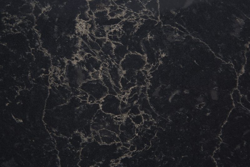 Brown forest detail 800x533 1