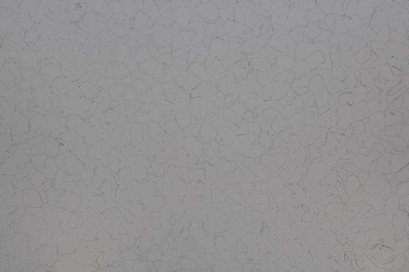 Lenin white 800x533 1