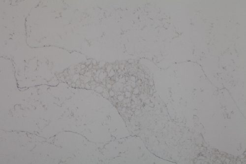 UniQuartz Silver Vein Quartz Closeup 500x333 1